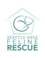 Copy of SAFe-Rescue-Logo.png